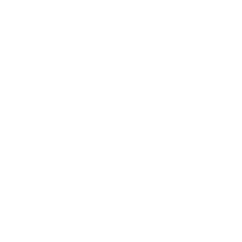 ISO-Icon